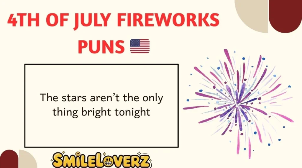 4th of July Fireworks Puns 🇺🇸