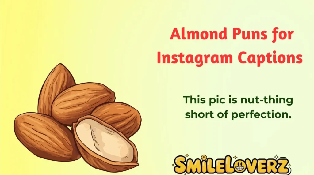 Almond Puns for Instagram Captions 
