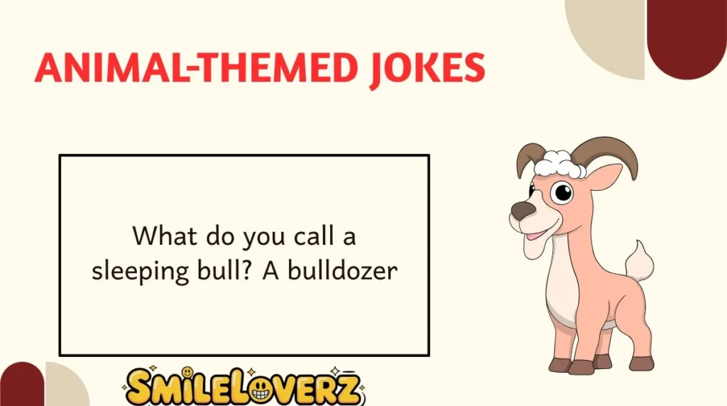 Animal-Themed Jokes