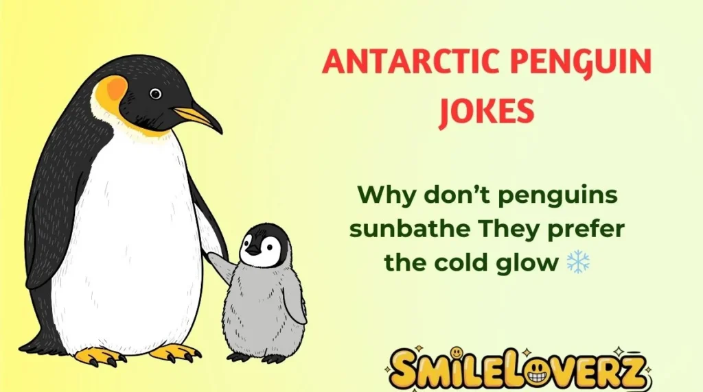 Antarctic Penguin Jokes