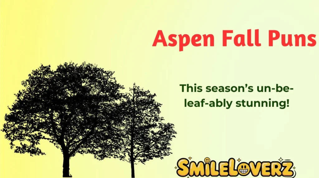Aspen Fall Puns