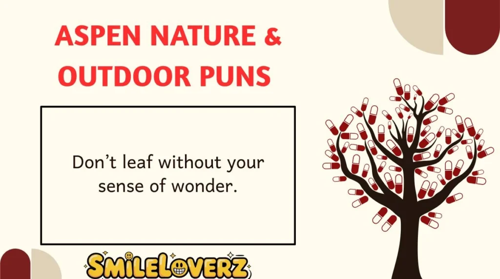 Aspen Nature & Outdoor Puns