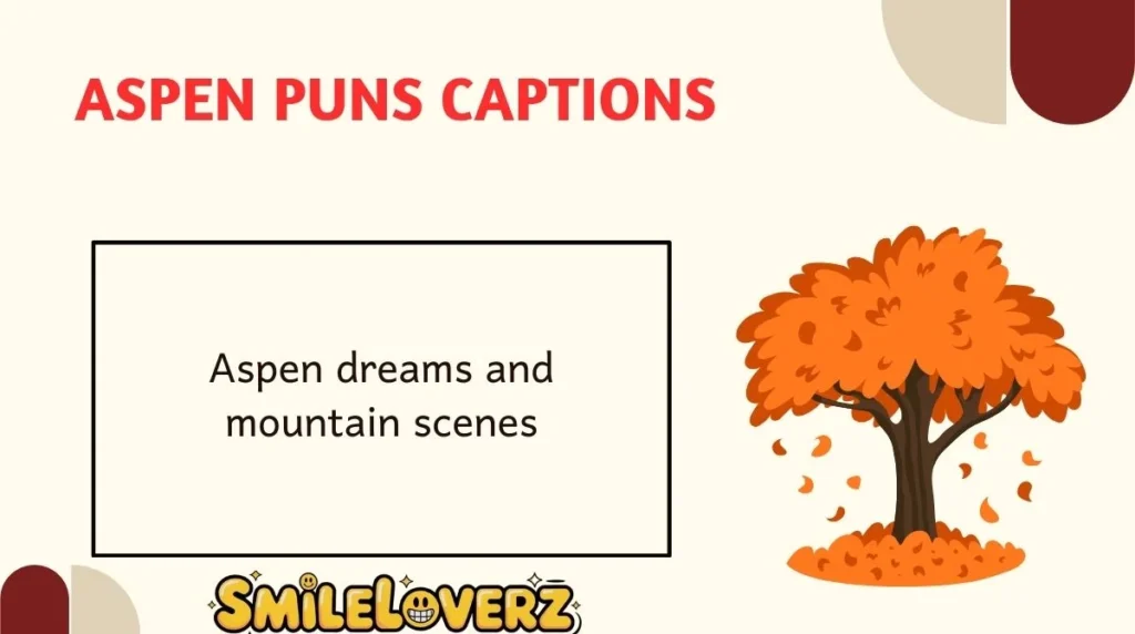 Aspen Puns Captions