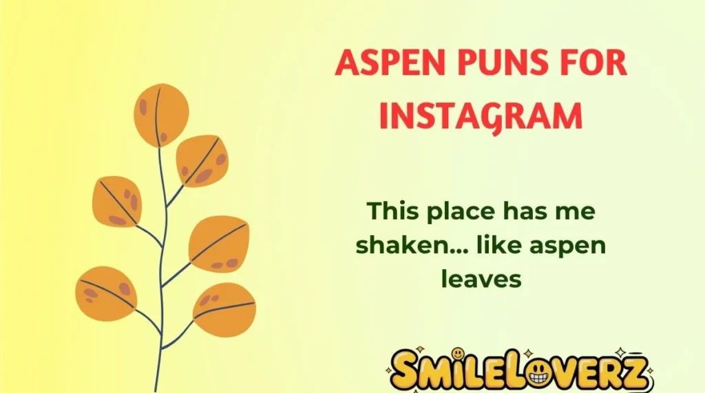 Aspen Puns for Instagram