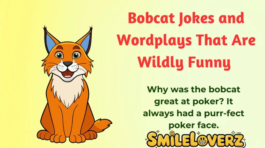 Bobcat Jokes and Wordplays That Are Wildly Funny 