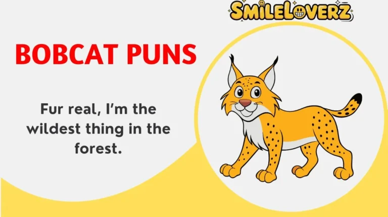 Bobcat Puns