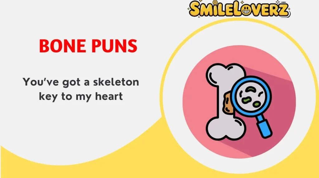 š310+ Bone Puns to Crack You Up in 2025𦓠Bone Puns
