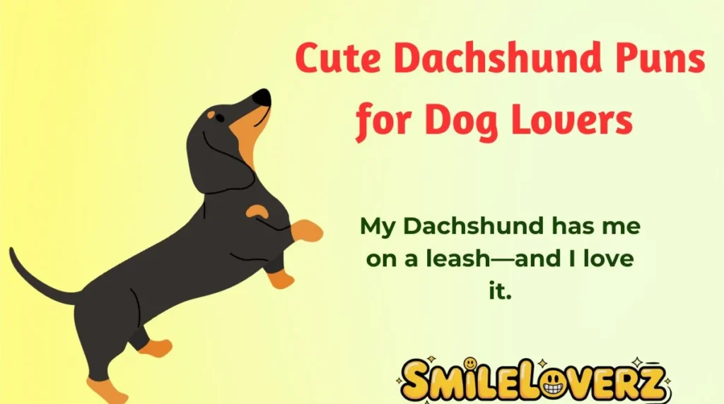 Cute Dachshund Puns for Dog Lovers 