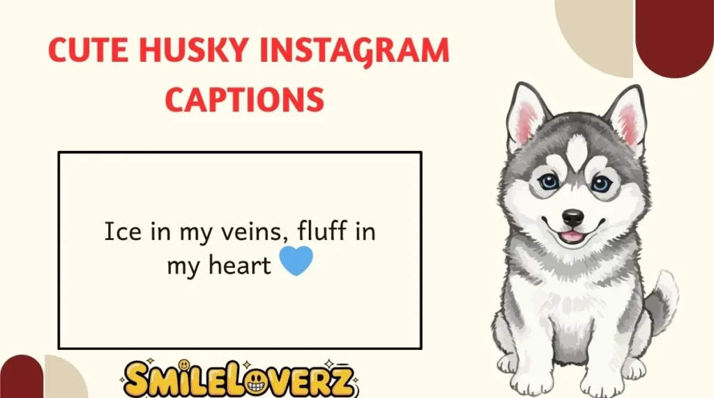 Cute Husky Instagram Captions