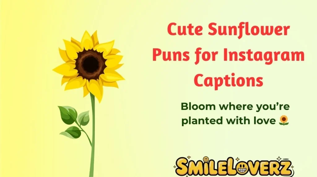 Cute Sunflower Puns for Instagram Captions