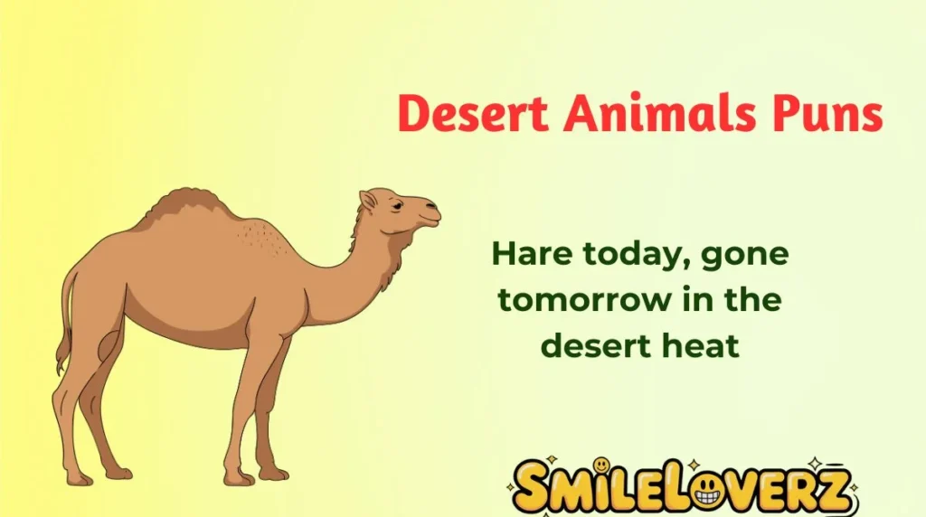 Desert Animals Puns