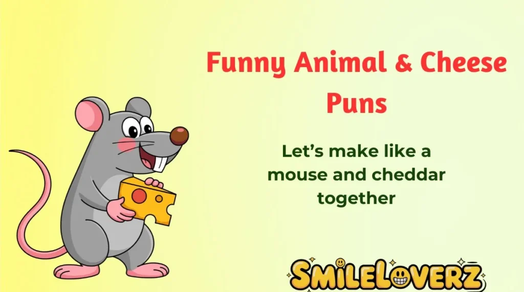 Funny Animal & Cheese Puns