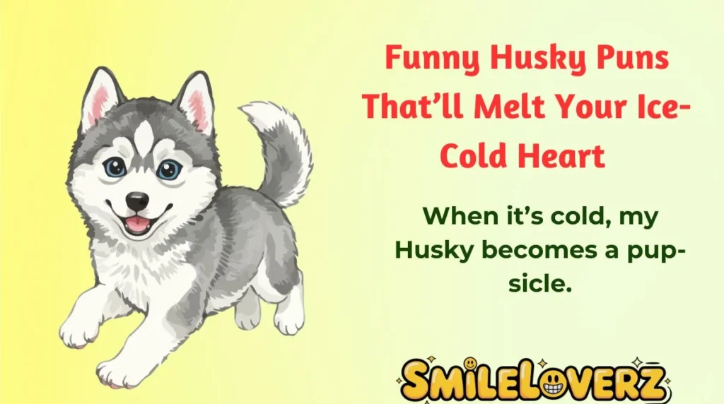 Funny Husky Puns That’ll Melt Your Ice-Cold Heart