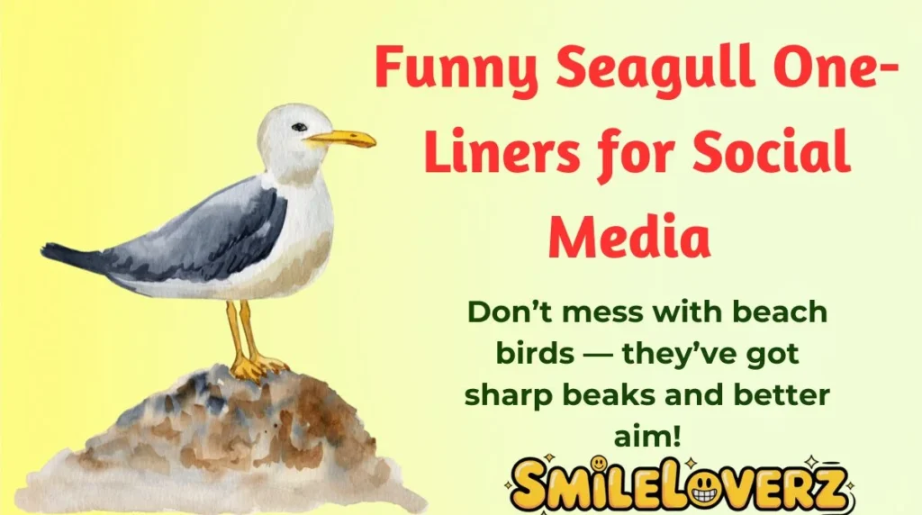 Funny Seagull One-Liners for Social Media 