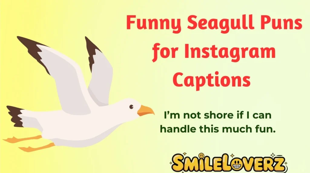 Funny Seagull Puns for Instagram Captions 