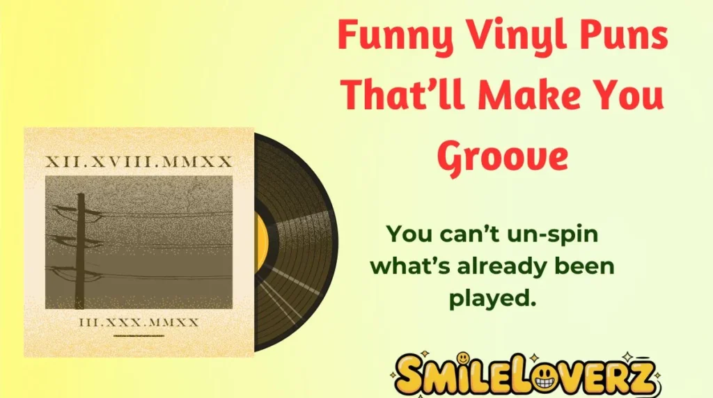 Funny Vinyl Puns Thatāll Make You Groove
