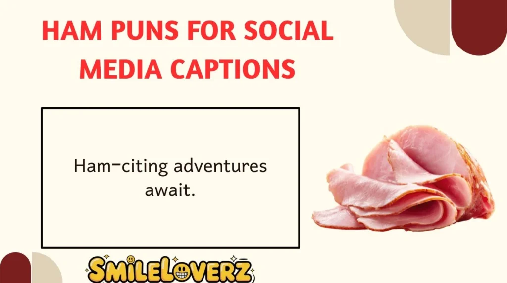 Ham Puns for Social Media Captions