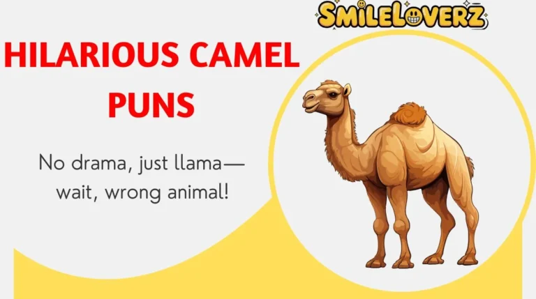 Hilarious Camel Puns