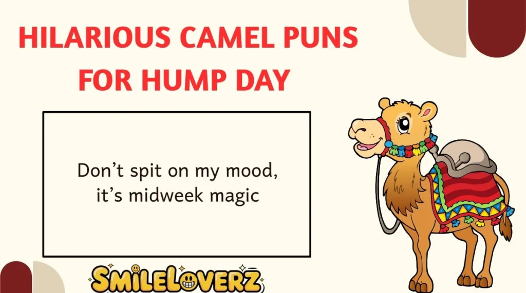 Hilarious Camel Puns for Hump Day 