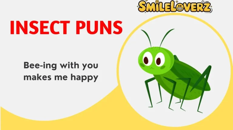 Insect Puns