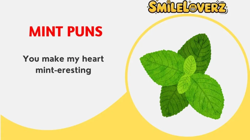 🌿 165+ Mint Puns That Are Refreshingly Hilarious in 2025 🌿 Mint Puns