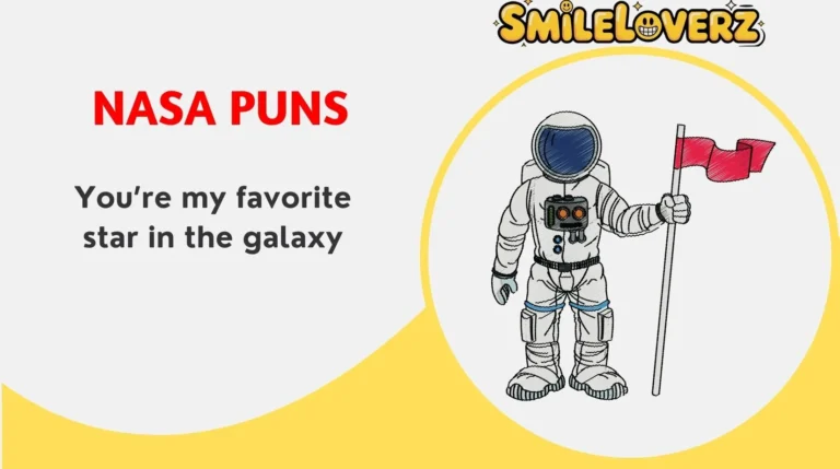 NASA Puns