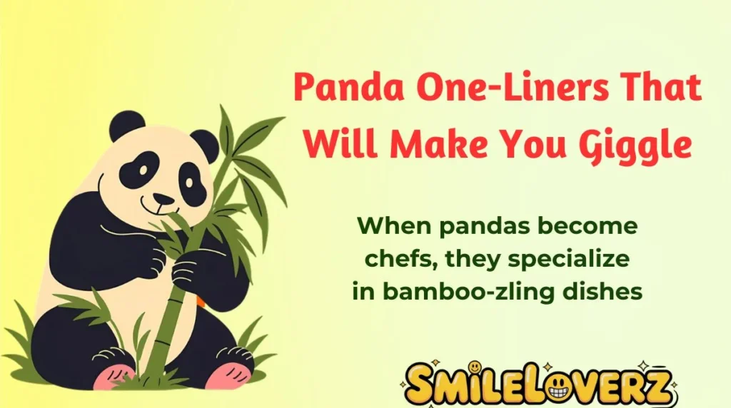 Panda One-Liners That Will Make You Giggle
