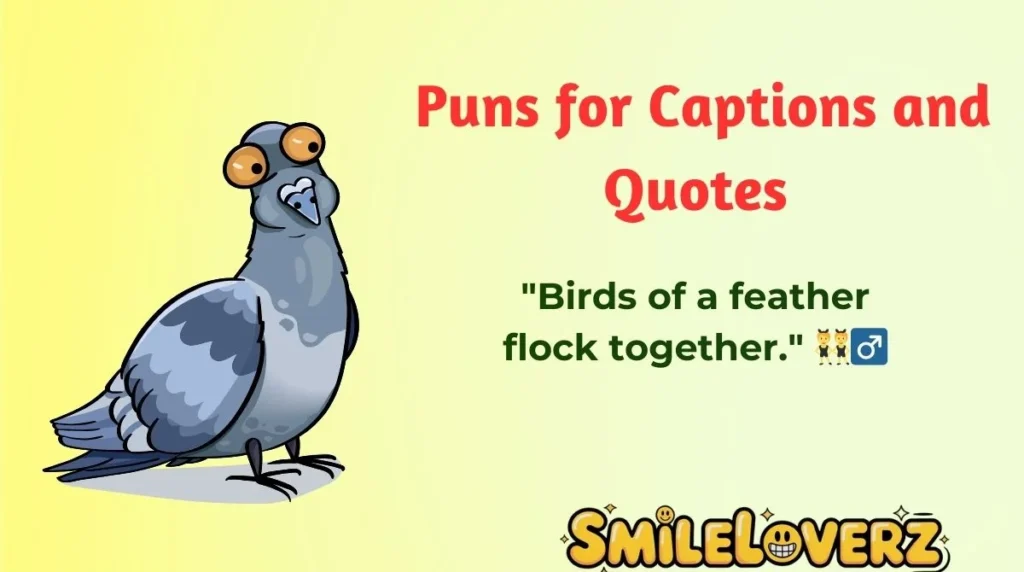  Puns for Captions and Quotes