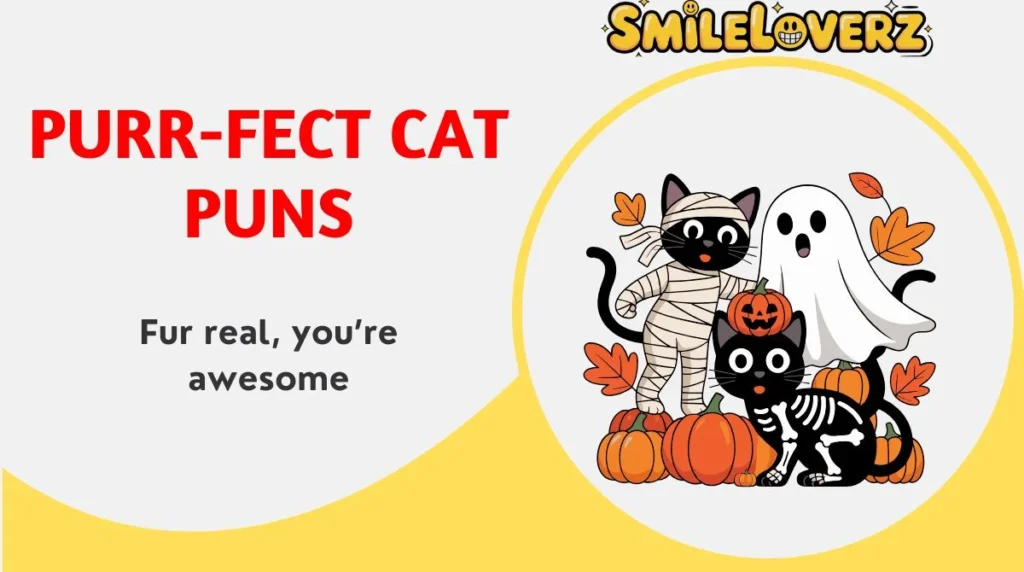 305+ Purr-fect Cat Puns 😸🐾 | Updated 2026 Purr-fect Cat Puns