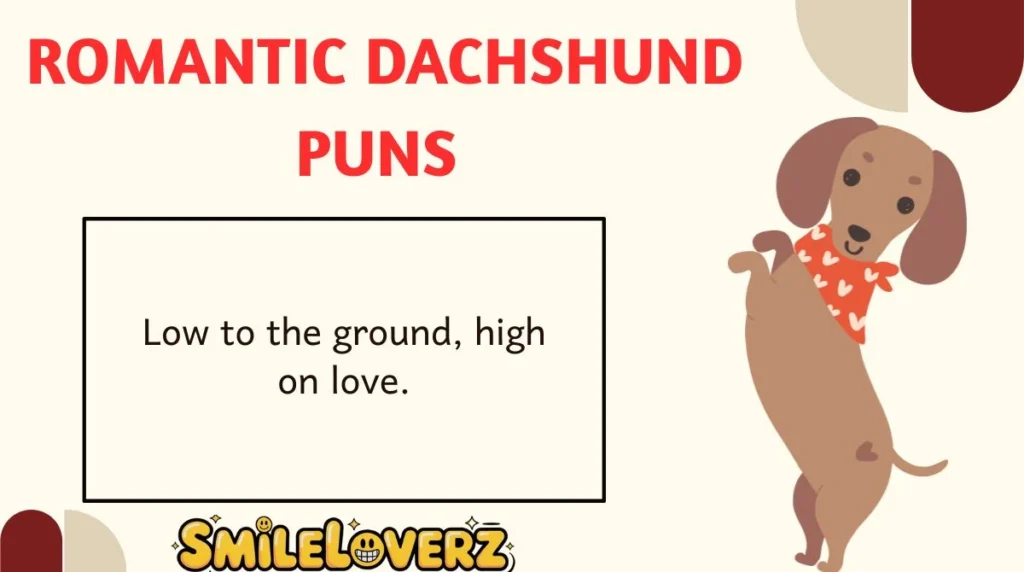 Romantic Dachshund Puns 