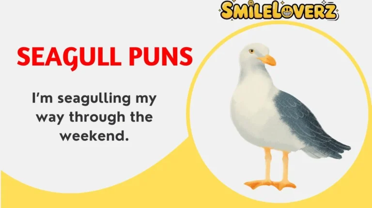 Seagull Puns