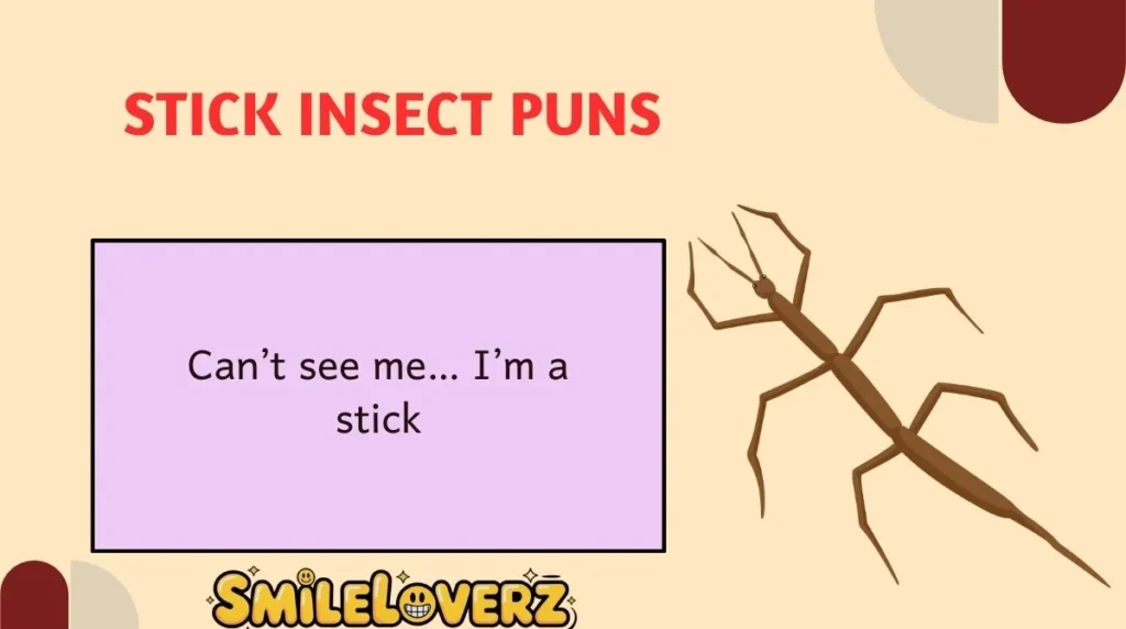Stick Insect Puns