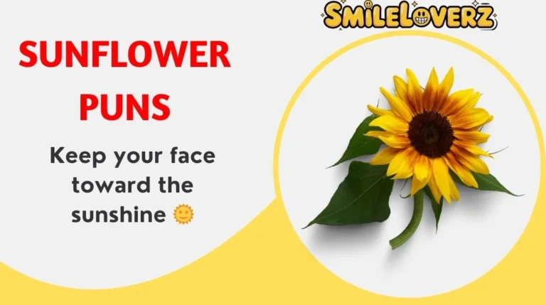 Sunflower Puns