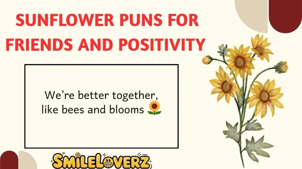 Sunflower Puns for Friends and Positivity 