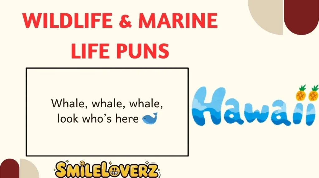 Wildlife & Marine Life Puns