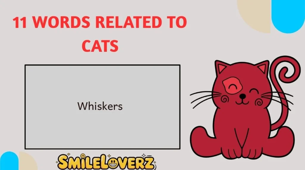 11 Words Related to Cats