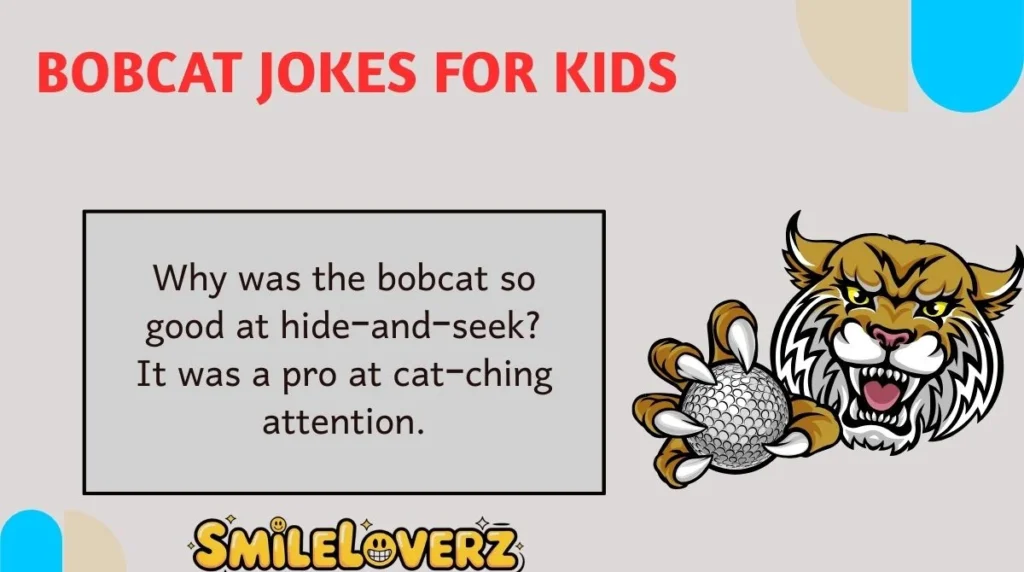 Bobcat Jokes for Kids