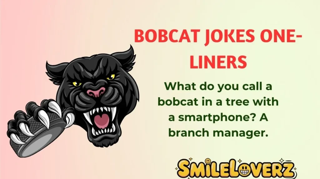Bobcat Jokes One-Liners