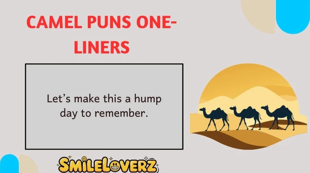 Camel Puns One-Liners