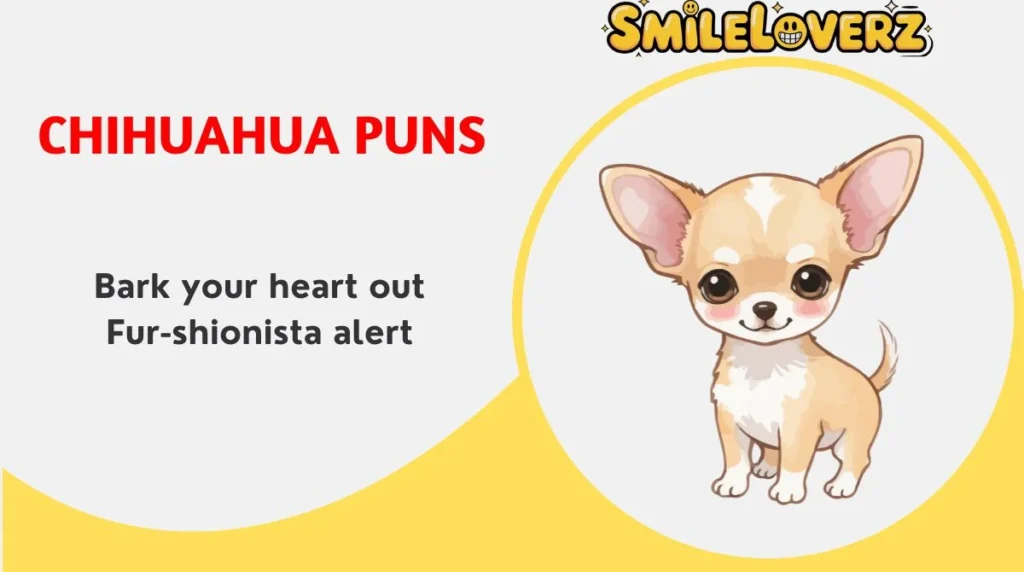407+ Chihuahua Puns đ¶đ€Ł You Need in 2025 Updated 2026 Chihuahua Puns