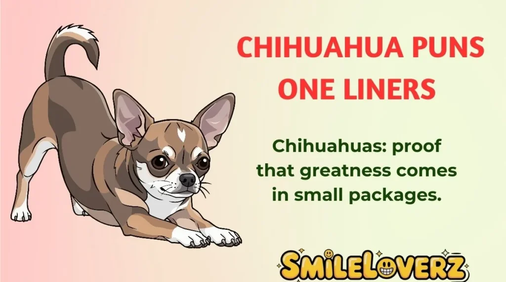 Chihuahua Puns One Liners