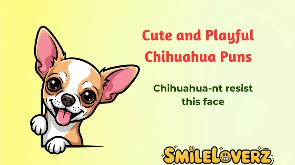 Cute and Playful Chihuahua Puns