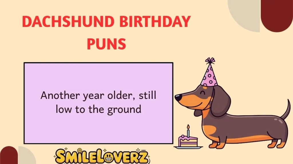Dachshund Birthday Puns
