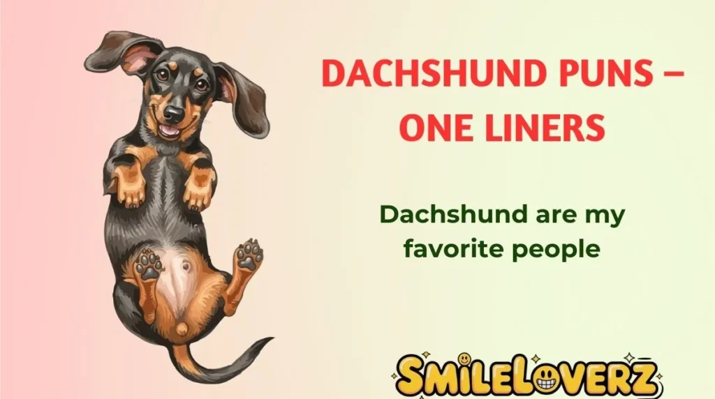 Dachshund Puns ā One Liners