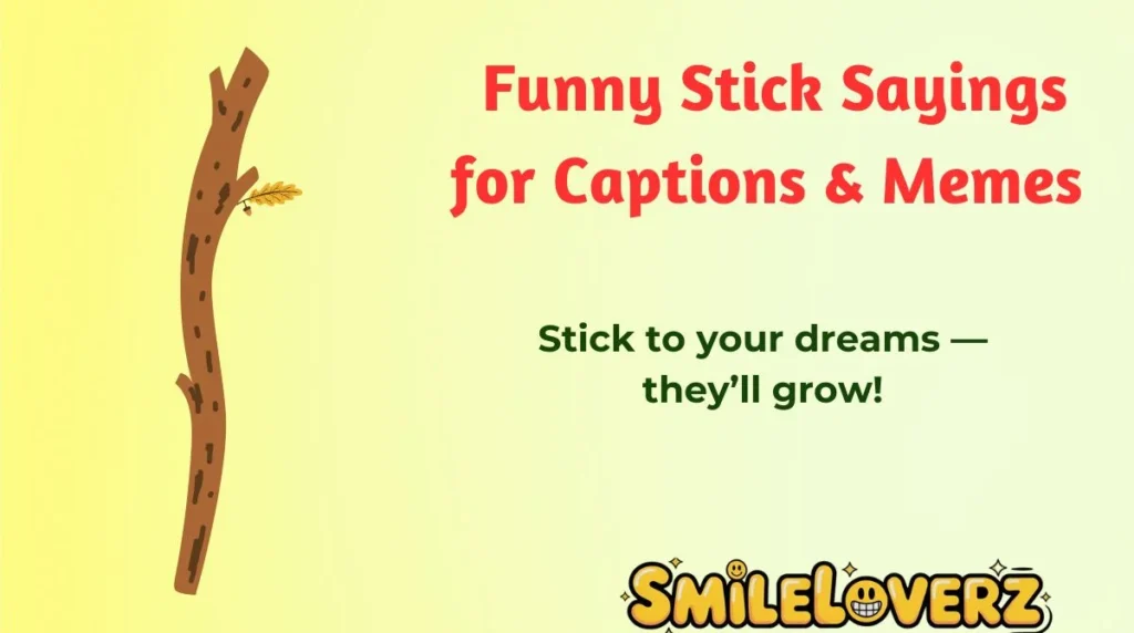 Funny Stick Sayings for Captions & Memes