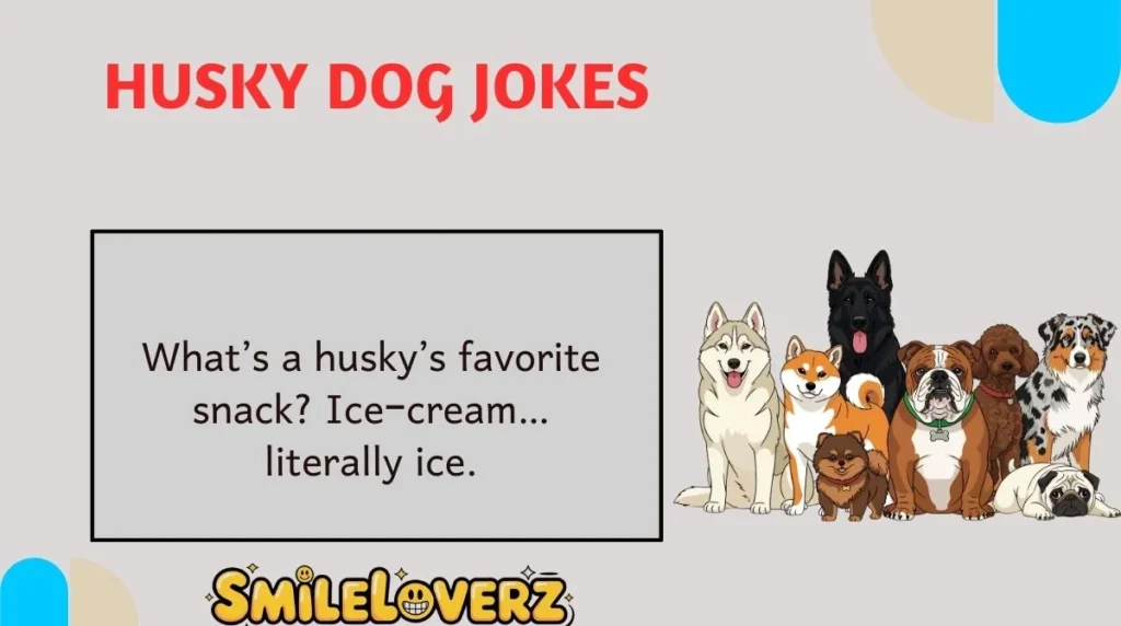 Husky Dog Jokes