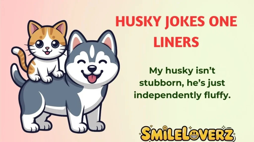 Husky Jokes One Liners