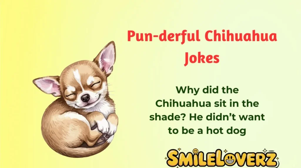 Pun-derful Chihuahua Jokes