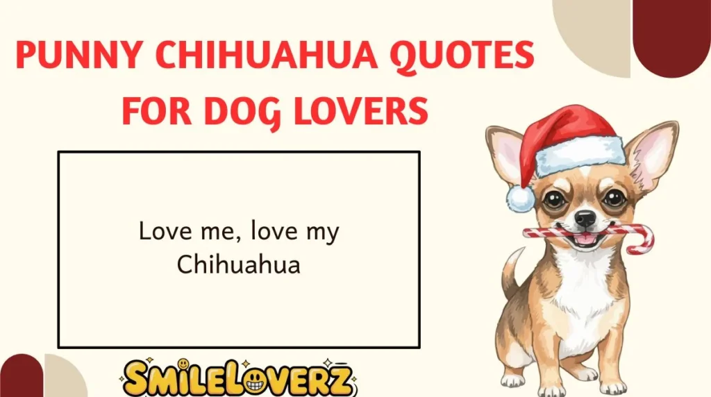 Punny Chihuahua Quotes for Dog Lovers