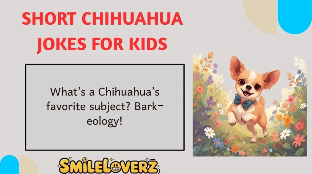 Short Chihuahua Jokes for Kids